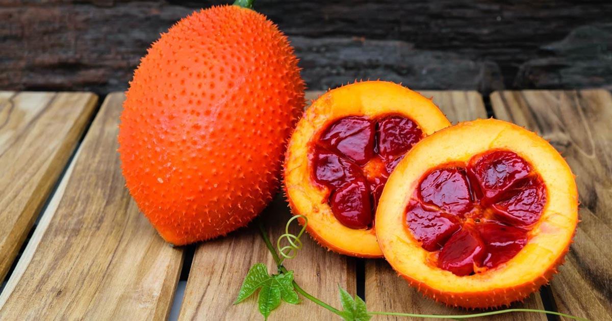 Dầu gấc