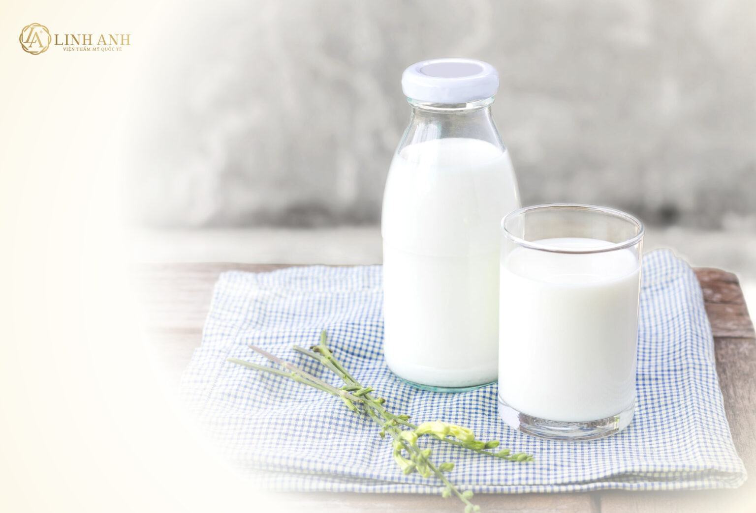 Sữa tươi chứa nhiều dinh dưỡng giúp bổ sung năng lượng cho cơ thể