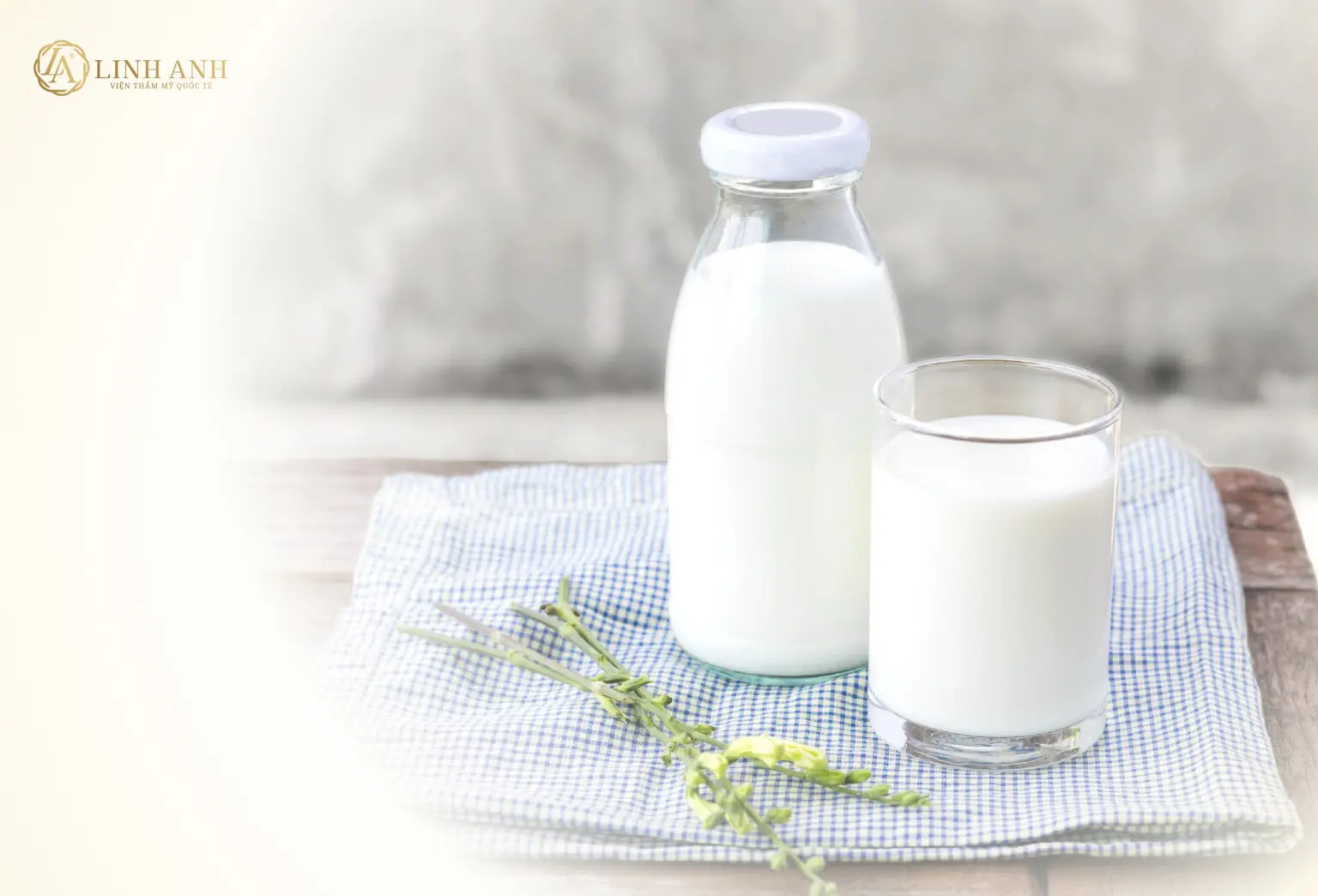 Sữa tươi chứa nhiều dinh dưỡng giúp bổ sung năng lượng cho cơ thể