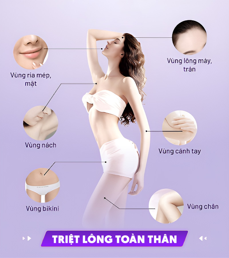 giá triệt long