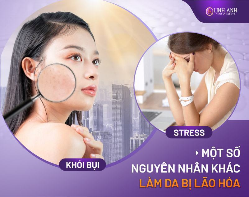 cách chống lão hoá da