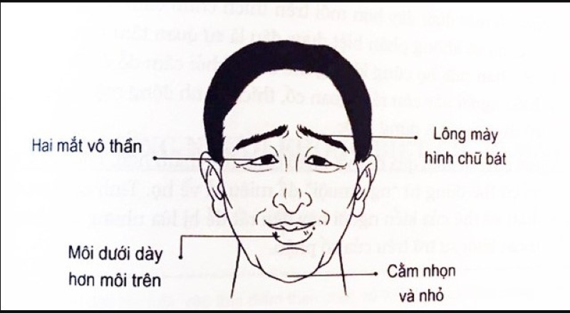 chân mày chữ bát