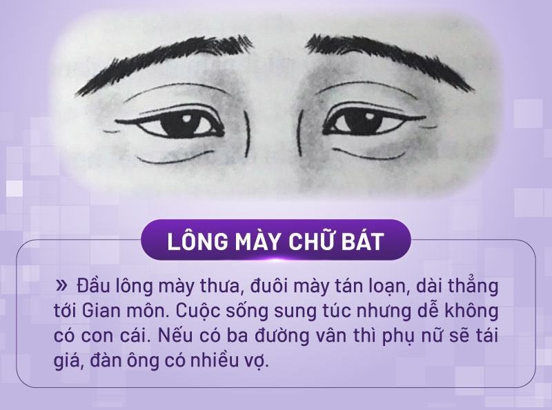 lông mày chữ bát nam