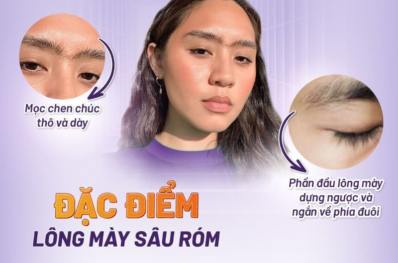 lông mày sâu róm nam