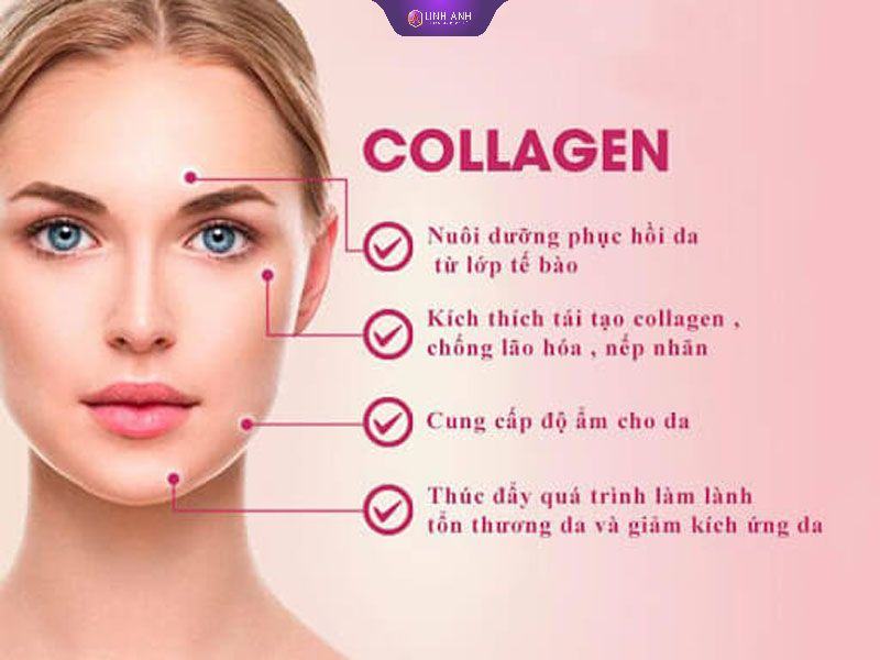 tác dụng của collagen tươi