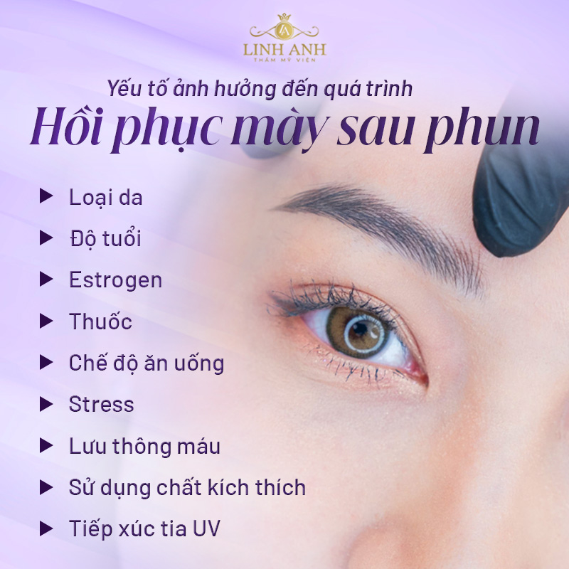 quy trình phục hồi lông mày