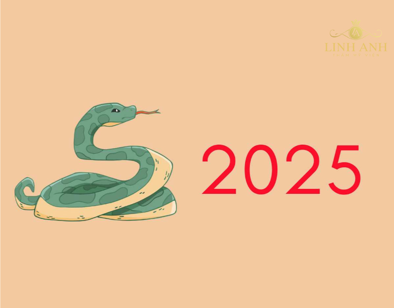 năm 2025 là năm con gì và mệnh gì