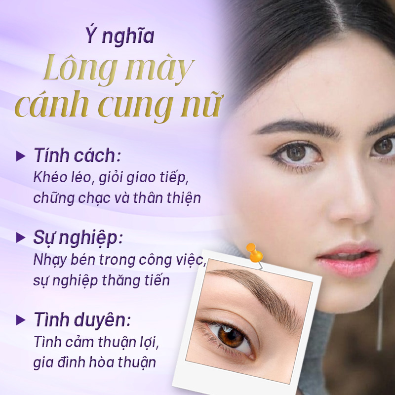 lông mày cong vòng cung