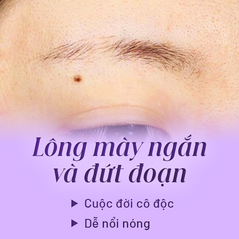 Lông mày cụt