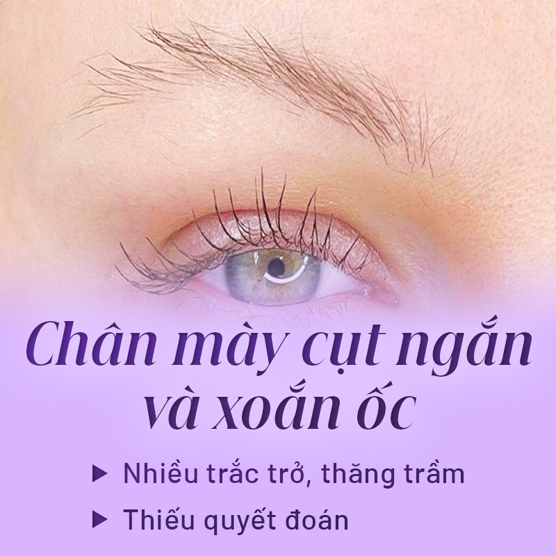 Người có chân mày ngắn