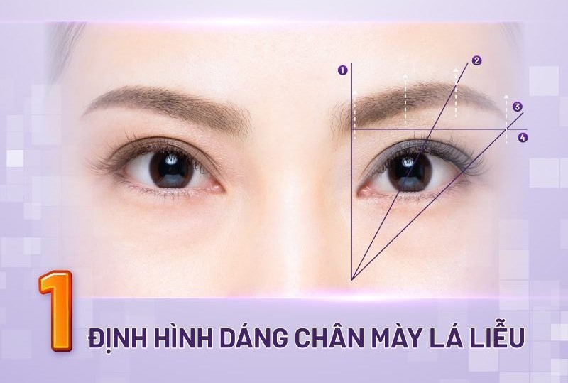 chân mày lá liễu