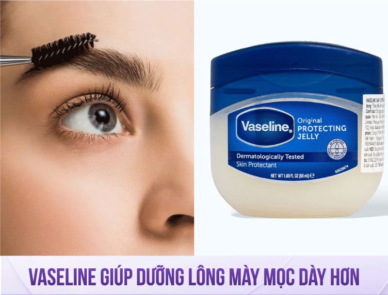 cách làm lông mày mọc nhanh trong 1 tuần bằng vaseline