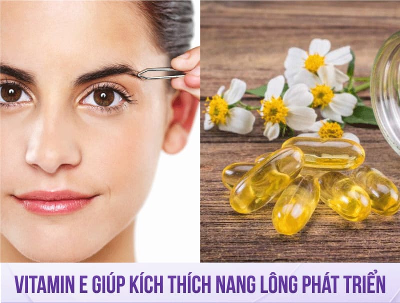 cách làm lông mày mọc nhanh trong 1 tuần tại nhà