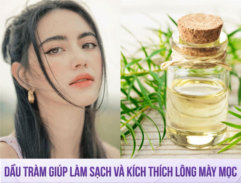 cách làm lông mày mọc nhanh trong 1 tuần tự nhiên