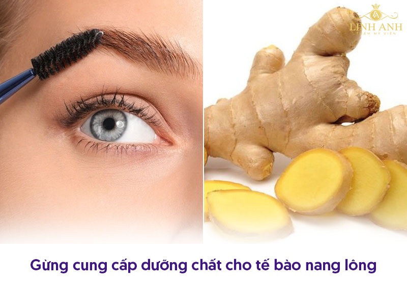 làm lông mày mọc nhanh bằng gừng làm lông mày mọc nhanh bằng gừng
