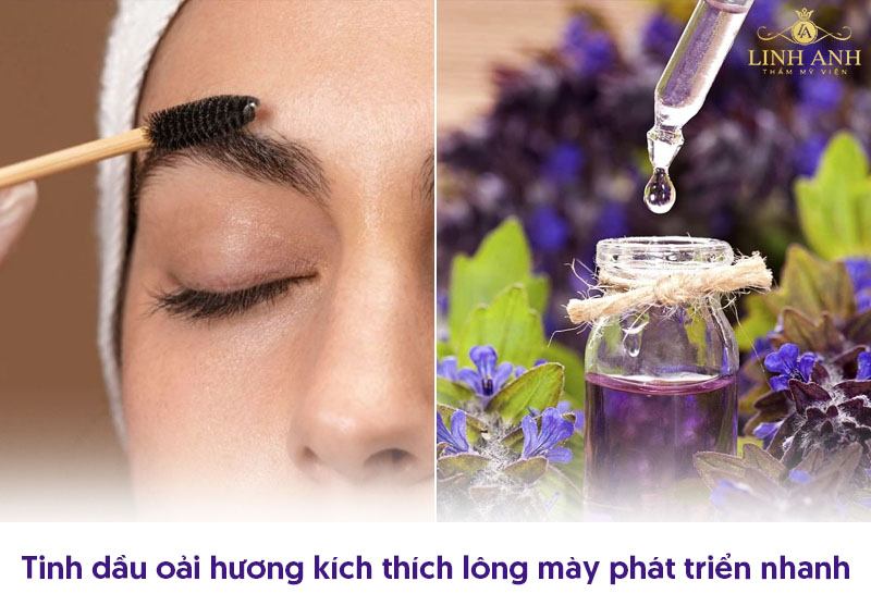 làm lông mày mọc nhanh bằng tinh dầu oải hương làm lông mày mọc nhanh bằng tinh dầu oải hương