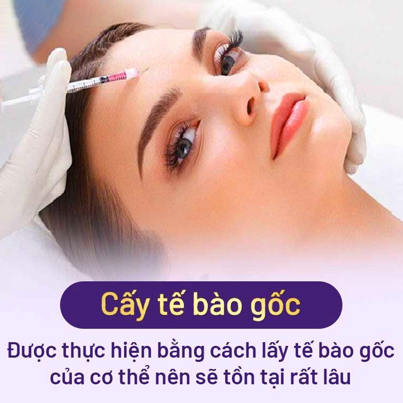 cấy tế bào gốc cho da mặt bao nhiêu