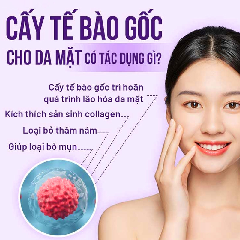 chi phí cấy tế bào gốc cho da mặt