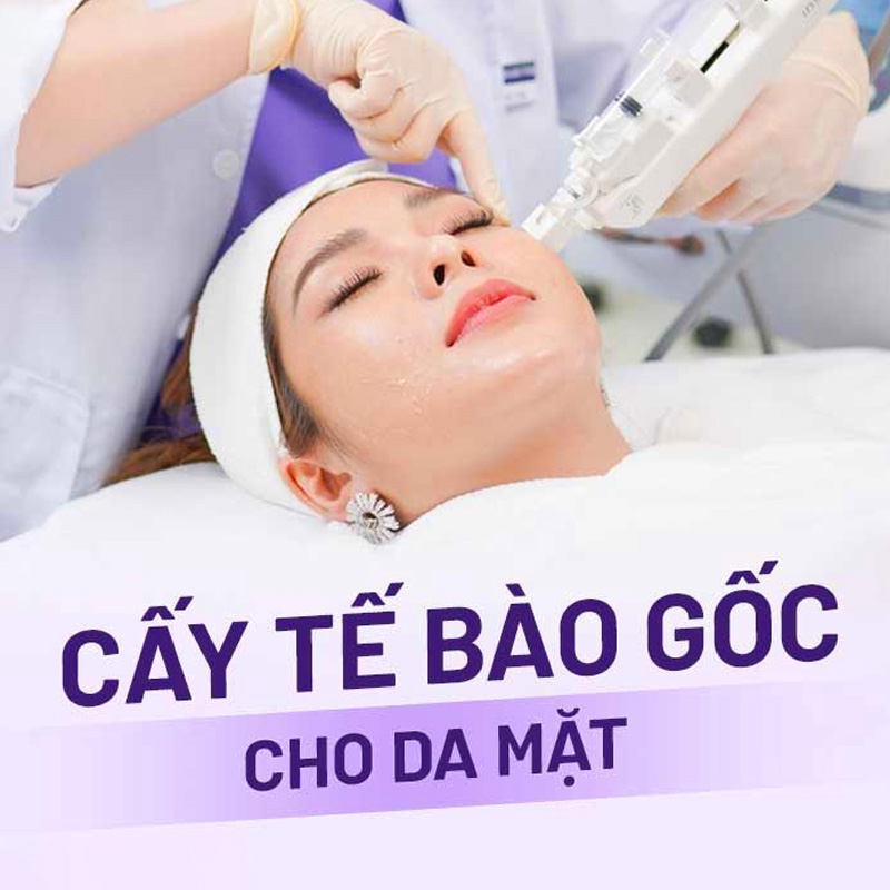 giá cấy tế bào gốc cho da mặt