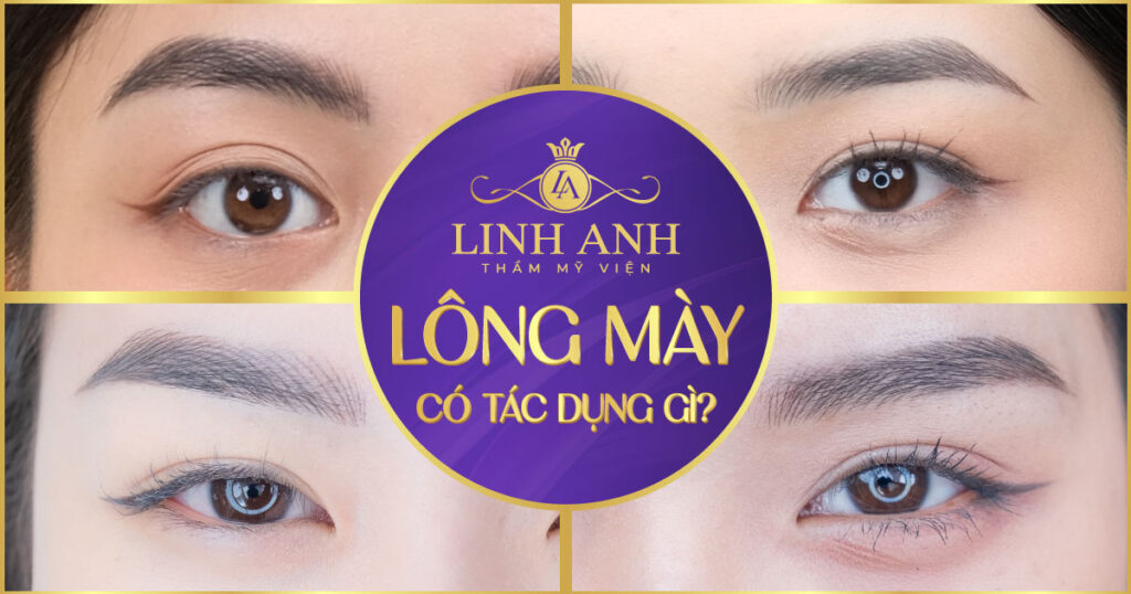 lông mày có tác dụng gì