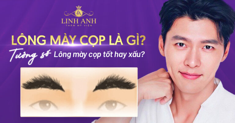 Lông mày cọp là gì? Tướng số dáng mày hổ mi ở nam và nữ