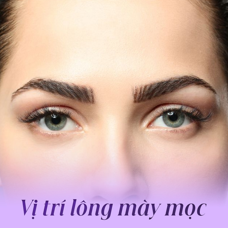 Xem tướng lông mày chữ v - Viện thẩm mỹ quốc tế Linh Anh