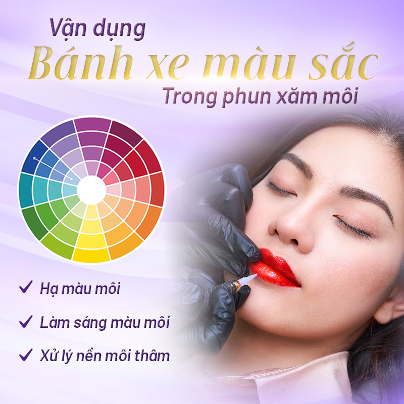 ứng dụng bánh xe màu sắc trong phun xăm