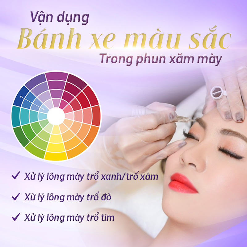 vận dụng bánh xe màu sắc trong phun xăm