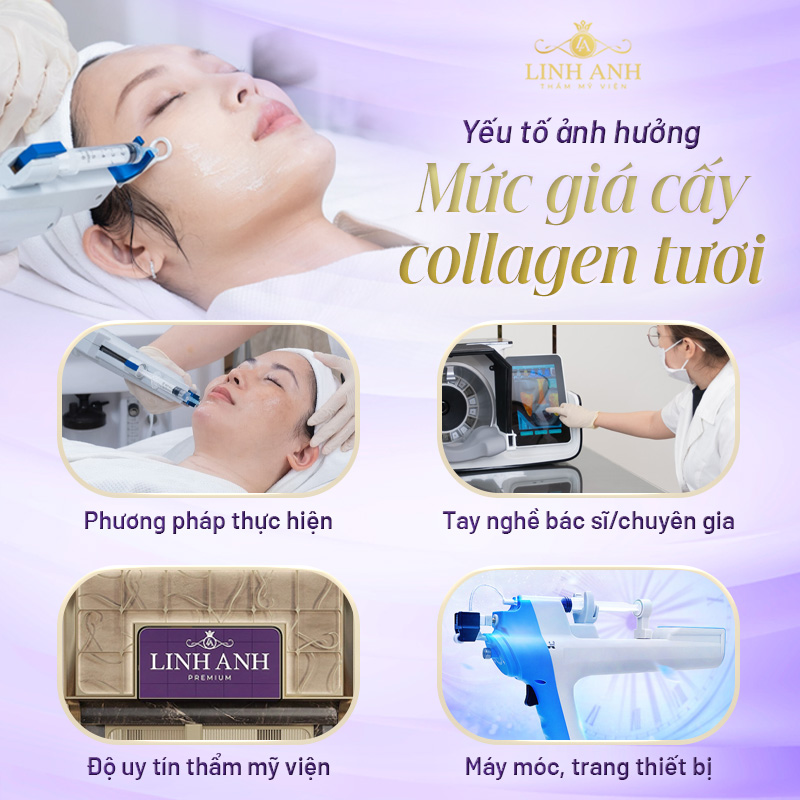 cấy collagen giá bao nhiêu