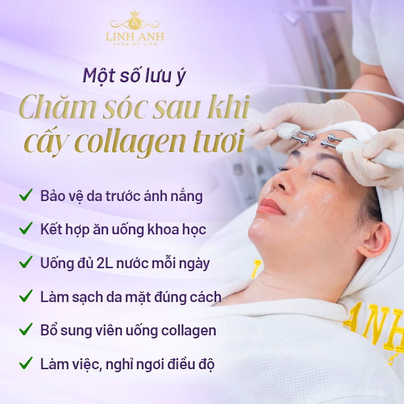 chi phí cấy collagen tươi