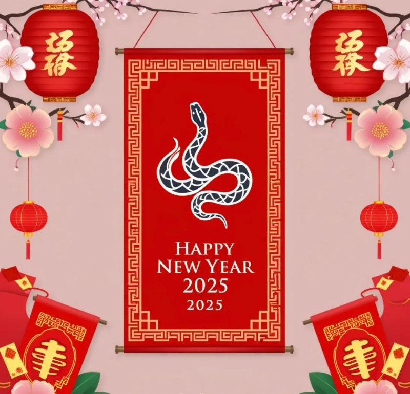 hình ảnh 2025