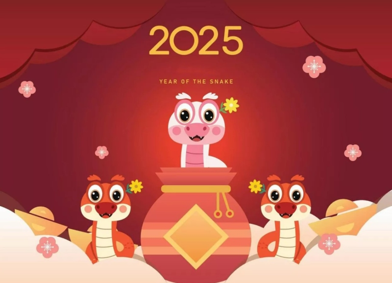 hình ảnh tết 2025