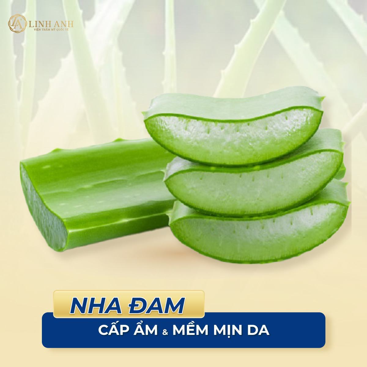 Cách điều trị mụn đầu đen và lỗ chân lông to nhanh - Viện thẩm mỹ quốc tế Linh Anh Cách điều trị mụn đầu đen và lỗ chân lông to nhanh - Viện thẩm mỹ quốc tế Linh Anh
