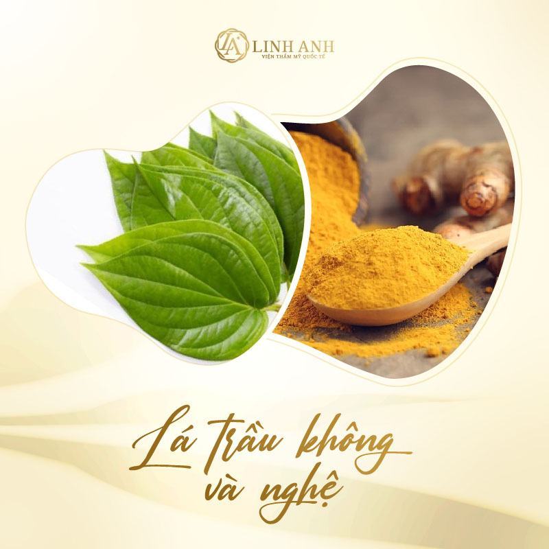Chữa nám da bằng lá trầu không Cách trị nám bằng lá trầu không đơn giản - Viện thẩm mỹ quốc tế Linh Anh