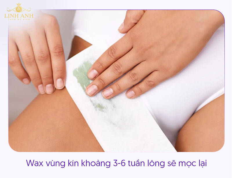 Wax lông bikini bao lâu mọc lại Wax lông bikini bao lâu mọc lại