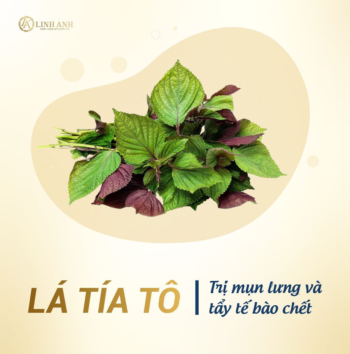 cách trị mụn trứng cá cho mẹ bầu cách trị mụn trứng cá cho mẹ bầu hiệu quả - Viện thẩm mỹ quốc tế Linh Anh