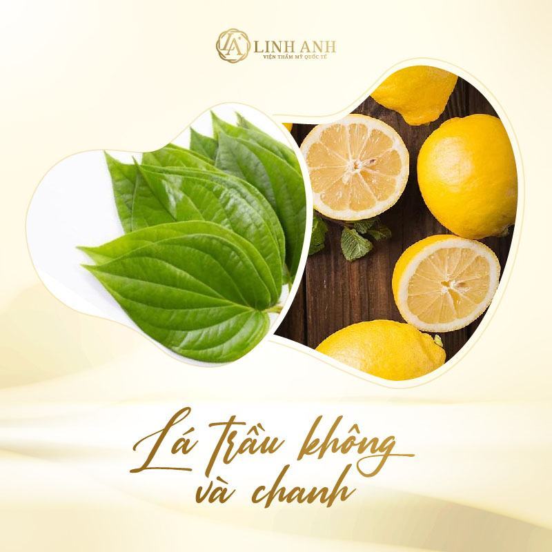 công thức trị nám bằng lá trầu không cách trị nám bằng lá trầu không - Viện thẩm mỹ quốc tế Linh Anh