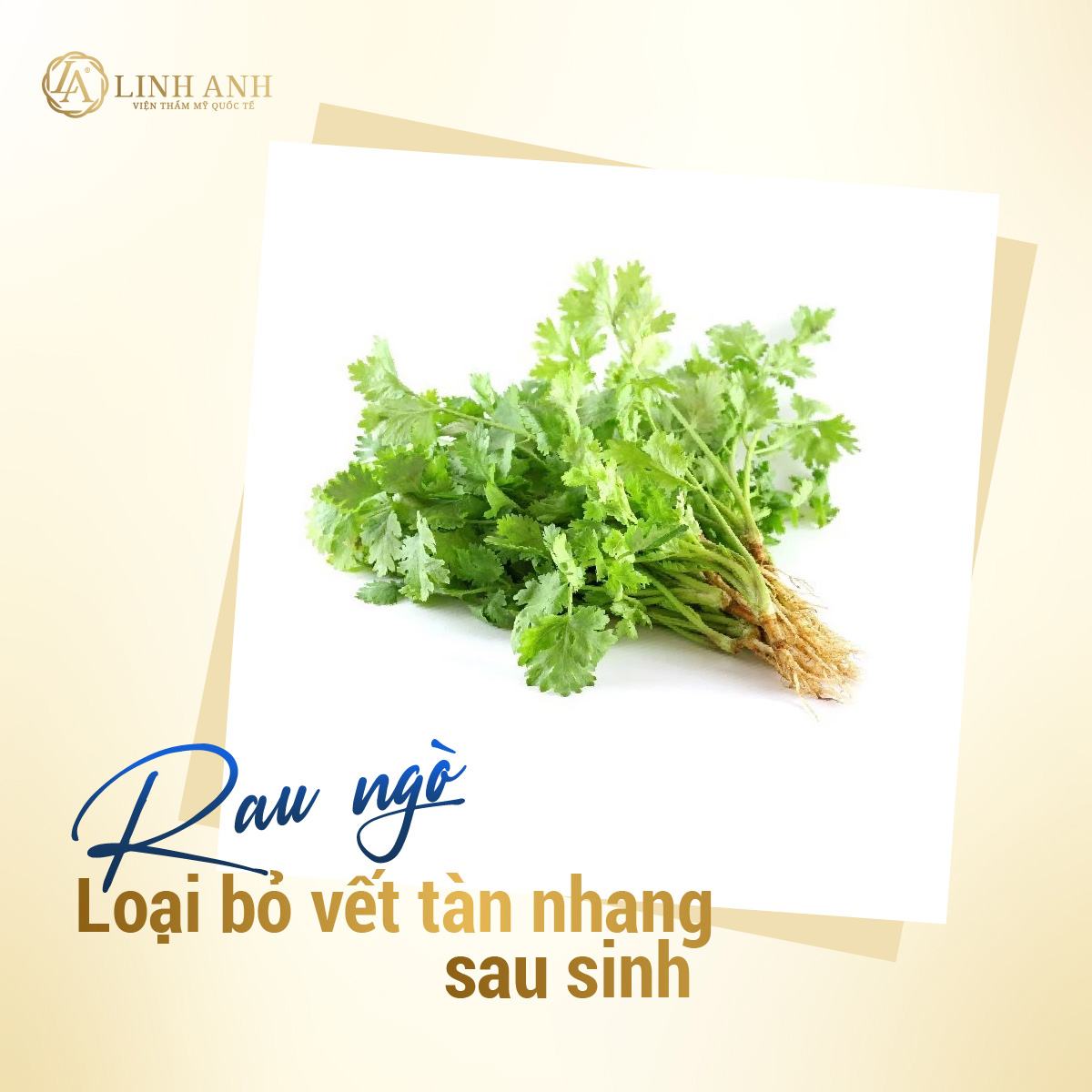 cách trị tàn nhang sau sinh tốt nhất cách trị tàn nhang sau sinh - Viện thẩm mỹ quốc tế Linh Anh