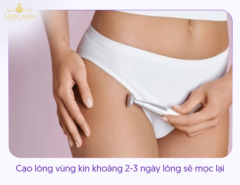 Cạo lông vùng kín bao lâu mọc lại Cạo lông vùng kín bao lâu mọc lại