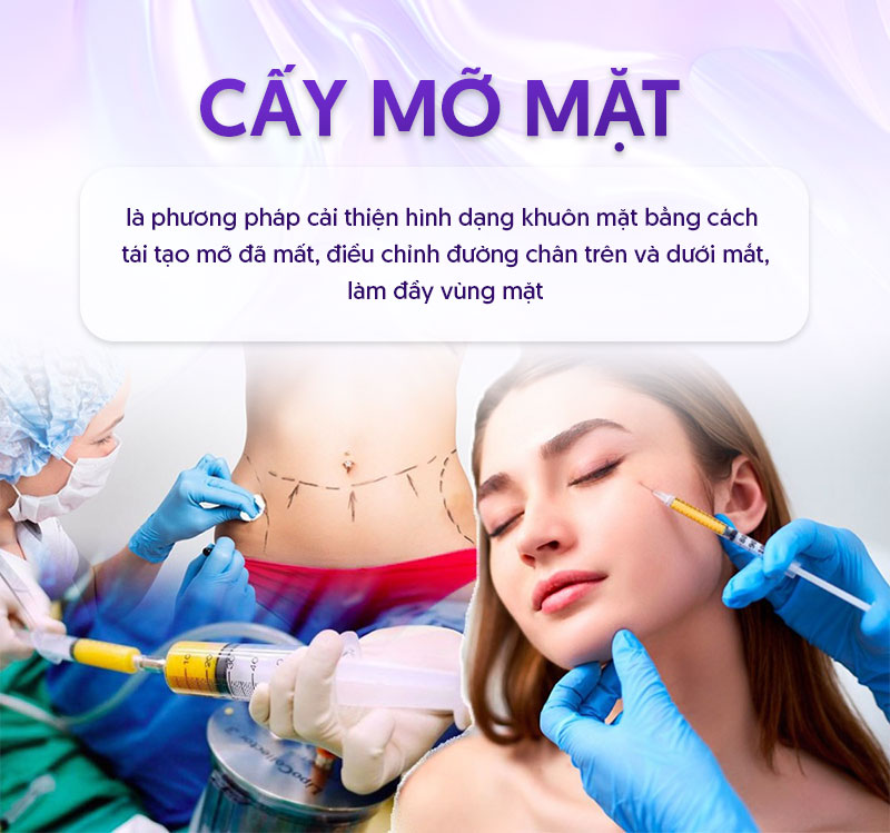 cấy mỡ tự thân giá bao nhiêu cấy mỡ tự thân giá bao nhiêu