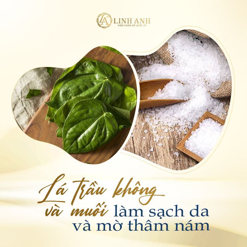 Cách trị nám bằng lá trầu không đơn giản công thức trị nám bằng lá trầu không - Viện thẩm mỹ quốc tế Linh Anh