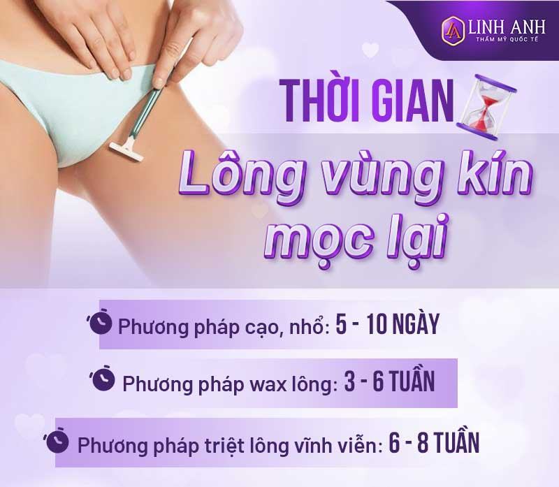 thời gian lông vùng kín mọc lại thời gian lông bikini mọc lại là bao lâu