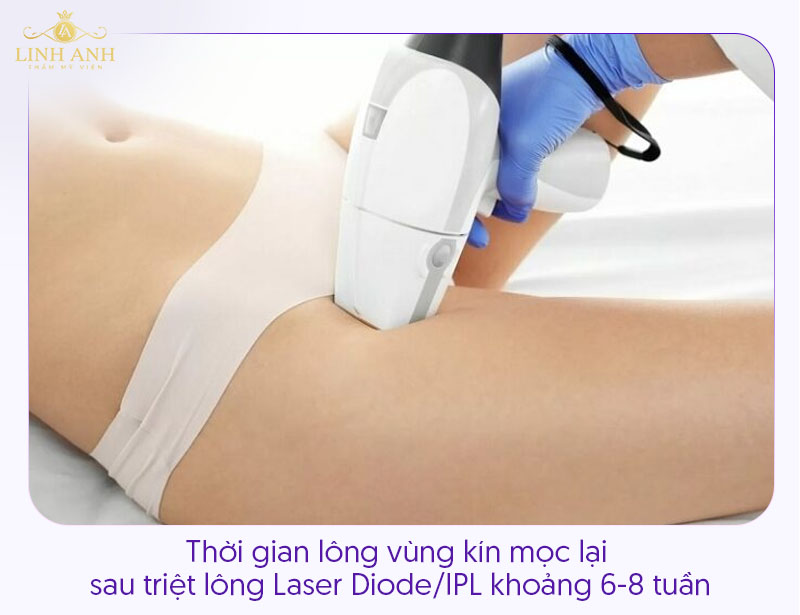 Thời gian lông bikini mọc lại