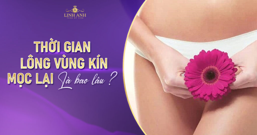 thời gian lông vùng kín mọc lại