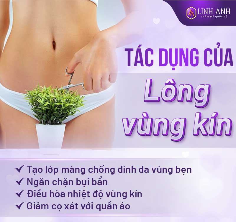 thời gian lông vùng kín mọc lại thời gian lông vùng kín mọc lại là bao lâu