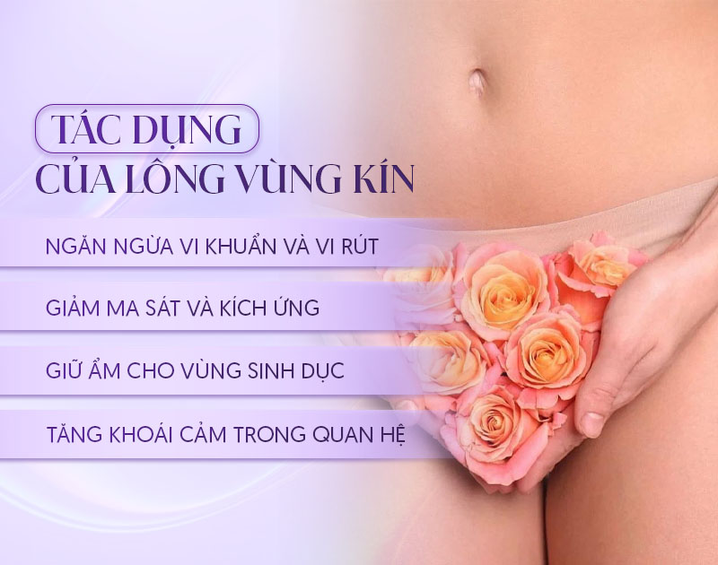 triệt lông vùng kín nữ có ảnh hưởng gì không triệt lông vùng kín nữ có ảnh hưởng gì không
