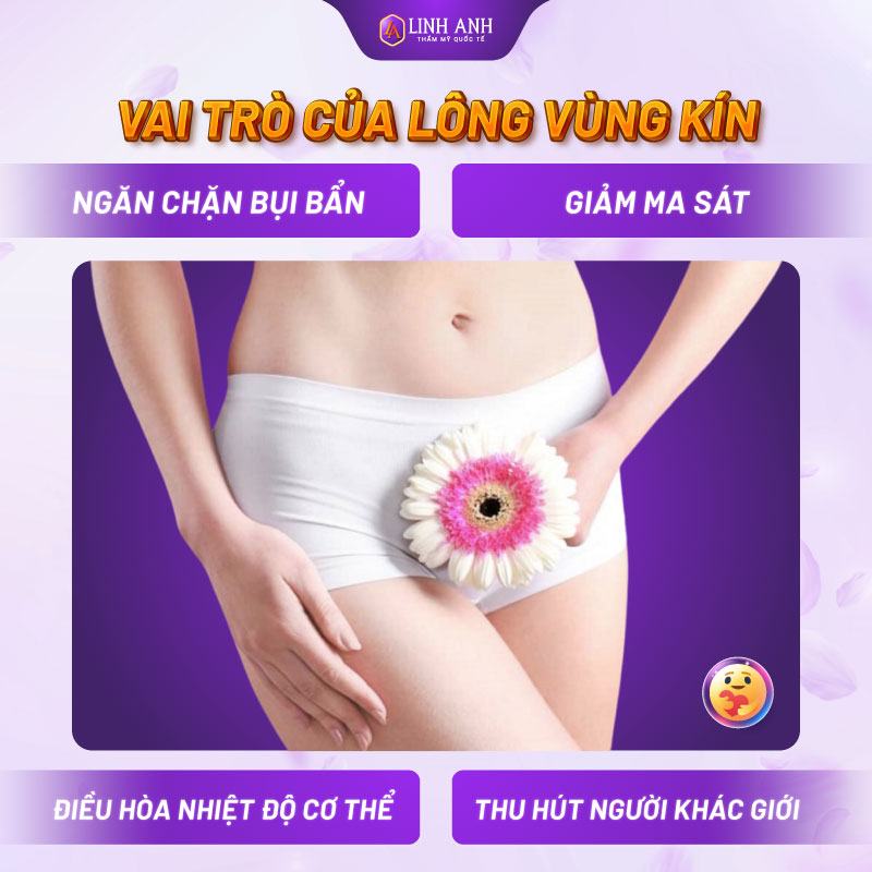 tác hại của triệt lông vùng kín triệt lông vùng kín có ảnh hưởng gì không