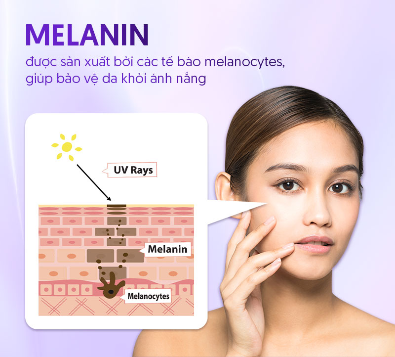 Cơ chế hình thành melanin