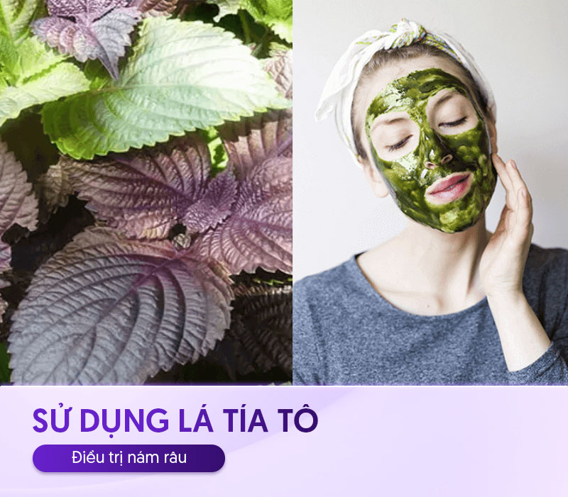 dùng lá tía tô trị nám râu