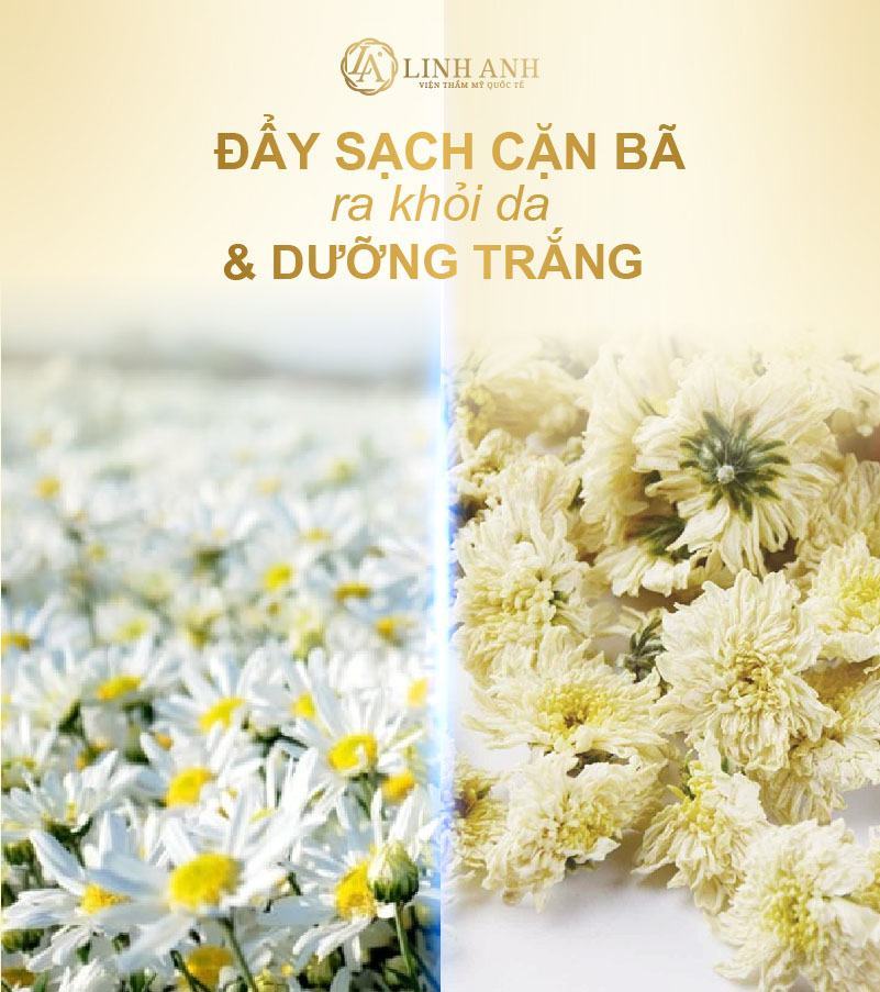 thuốc bắc trị nám Điều trị nám bằng thuốc bắc - Viện thẩm mỹ quốc tế Linh Anh